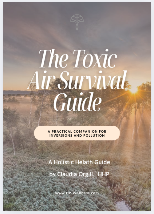 NEW! The Toxic Air Survival Guide - Instant Download eBook